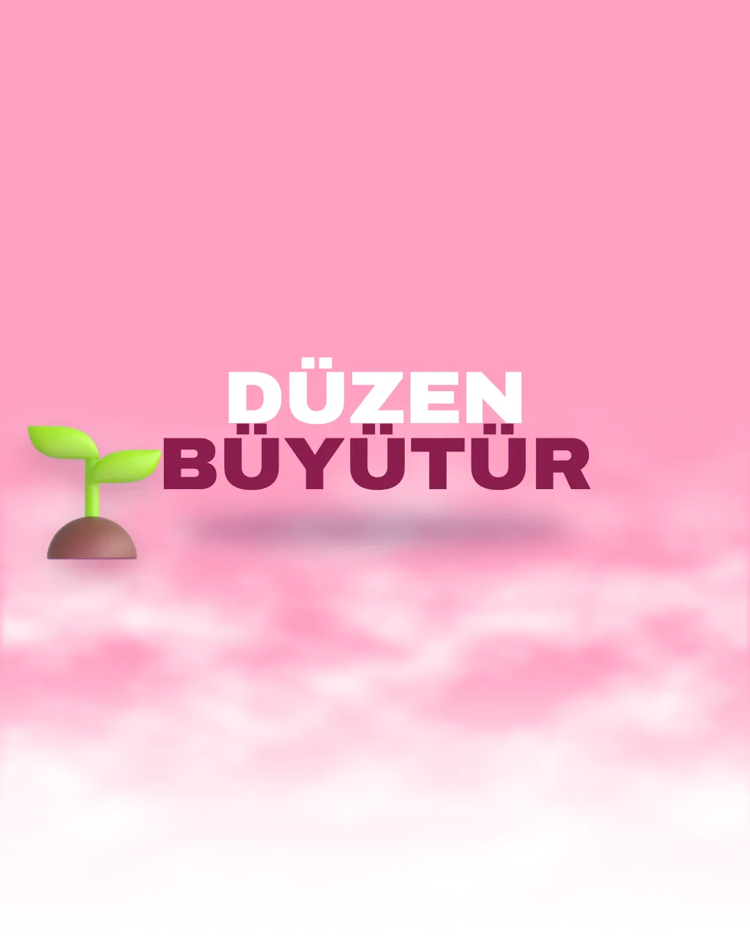 “Düzen Büyütür” başlıklı, 3D filiz ikonlu CRM yazılımı ve entegrasyon görseli